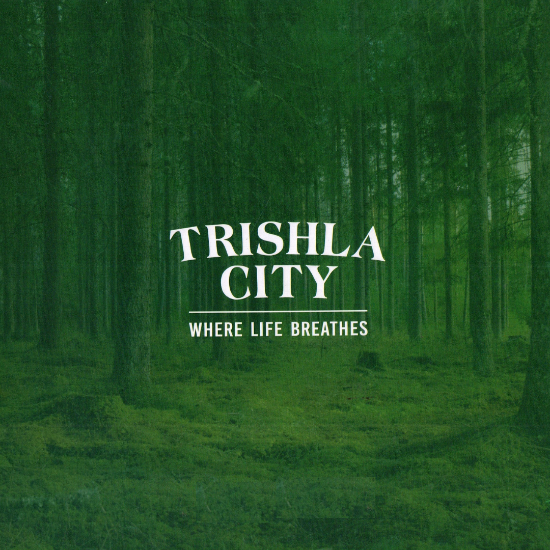 TRISHLA CITY